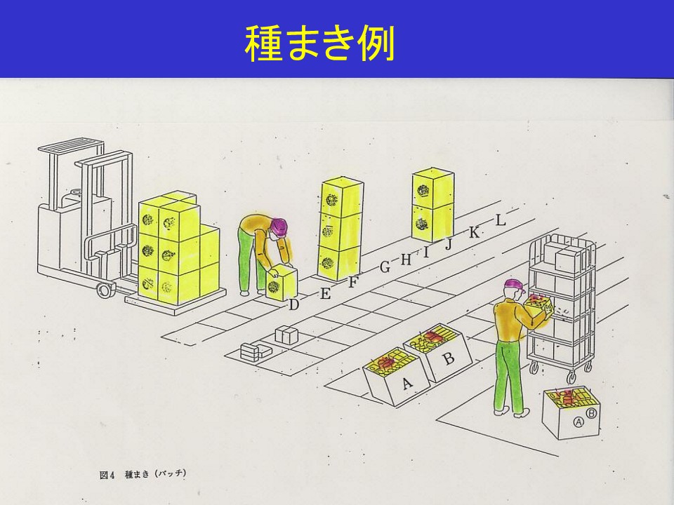 播種方式範例